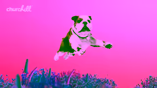 Churchill Insurance Churchill YouTube Brand 15s Non Skip 3 Ad Commercial Brand Imagery Photoshoot 1