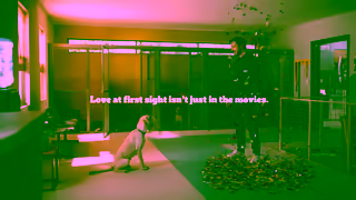 Pedigree Pedigree Love At First Sight Adoption Ad Party Ad Commercial Brand Imagery Photoshoot 1