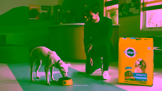 Pedigree Pedigree Love At First Sight Adoption Ad Party Ad Commercial Brand Imagery Photoshoot 2