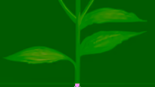 Chemist Warehouse Thompsons Available Now At Chemist Warehouse Ad Commercial Brand Imagery Photoshoot 0