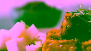 Visit Ann Arbor Miss Kim Destination Ann Arbor 15 seconds Ad Commercial Brand Imagery Photoshoot 1