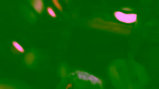 SEGA LADIW Combat 15s OutNow 16x9 Multi ANZ MA15 DIGI Ad Commercial Brand Imagery Photoshoot 1