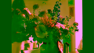 Interflora Interflora Say More TV Ad 6 Trailer Ad Commercial Brand Imagery Photoshoot 1