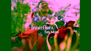 Interflora Interflora Say More TV Ad 6 Trailer Ad Commercial Brand Imagery Photoshoot 2