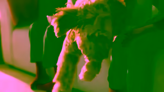 Dyson 110625US15sengineeredforv15snackattack16x9mp4 Ad Commercial Brand Imagery Photoshoot 0