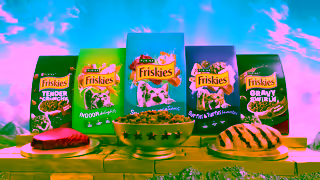 Friskies Explore the World of Friskies Dry Cat Food Always More to Explore Ad Commercial Brand Imagery Photoshoot 0