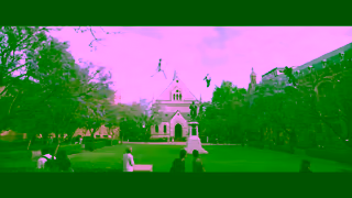 Adelaide University Video Ad Ad Commercial Brand Imagery Photoshoot 2