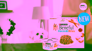 Purina Beneful IncrediBites Ad Commercial Brand Imagery Photoshoot 0