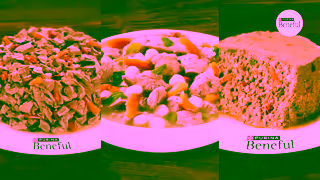 Purina Beneful IncrediBites Ad Commercial Brand Imagery Photoshoot 1