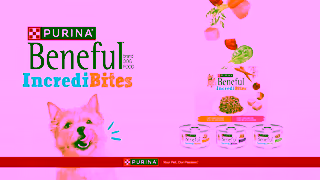Purina Beneful IncrediBites Ad Commercial Brand Imagery Photoshoot 2