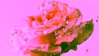 M.Micallef Fminin Secrets of Love Collection MMicallef Ad Commercial Brand Imagery Photoshoot 2