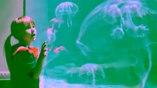 Atlantis Bahamas The Discovery of a Lifetime Atlantis Bahamas PMAX Ad Commercial Brand Imagery Photoshoot 0