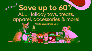 PetSmart Boxing Week PetSmart Ad Commercial Brand Imagery Photoshoot 2