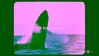 Celebrity Cruises A better escape Ad Commercial Brand Imagery Photoshoot 1