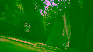 GolfBox Never Enough Golf Ad Commercial Brand Imagery Photoshoot 0