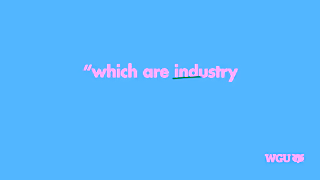 Western Governors University Shortened WGU Online IT Degree Programs Ad Commercial Brand Imagery Photoshoot 0