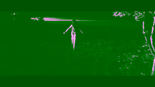 Warner Brothers WRWP47050CADCAUMREV15DATE1080pnoslateMOVrev1mov Ad Commercial Brand Imagery Photoshoot 2