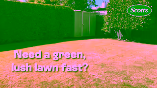 Scotts Scotts Lawn Builder Fast Green Get a Greener Lawn This Weekend Ad Commercial Brand Imagery Photoshoot 0