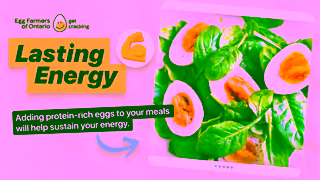 Egg Farmers of Ontario Dozen Reasons to Love Eggs Ad Commercial Brand Imagery Photoshoot 0