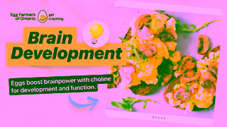 Egg Farmers of Ontario Dozen Reasons to Love Eggs Ad Commercial Brand Imagery Photoshoot 1