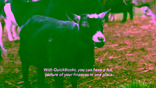 Intuit Business Differently with QuickBooks Haute Goat Farm Ad Commercial Brand Imagery Photoshoot 1