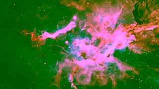 OER Project Starstruck OER Project Ad Commercial Brand Imagery Photoshoot 2