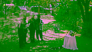 ENVATO Envato For the creatively obsessed Pet Funeral Ad Commercial Brand Imagery Photoshoot 0