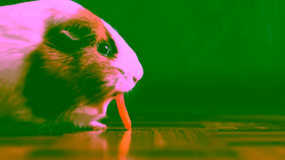 Manulife Start to see healthy living differently Ad Commercial Brand Imagery Photoshoot 0