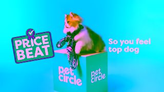 PetCircle Pet Circle Top Dog Ad Furlicity 6 sec Ad Commercial Brand Imagery Photoshoot 1