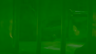 PETA Two Great Apes Languishing in Barren Concrete Cages at a Thai Department Store Zoo Ad Commercial Brand Imagery Photoshoot 2