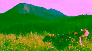 Rocky Mountain Dog Rocky Mountain Dog is Your Adventure Company Ad Commercial Brand Imagery Photoshoot 2