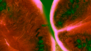 REFY SUMMER COLOURS ARE LIVE THIS IS HOW TO DO COLOUR THIS SUMMER Ad Commercial Brand Imagery Photoshoot 0