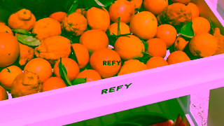 REFY SUMMER COLOURS ARE LIVE THIS IS HOW TO DO COLOUR THIS SUMMER Ad Commercial Brand Imagery Photoshoot 1