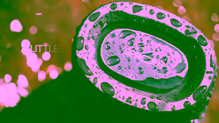 Sprout Soundwave Bluetooth Speaker by Sprout Ad Commercial Brand Imagery Photoshoot 1