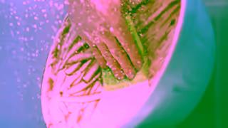 Morning Fresh Morning Fresh Dinner Party 6 Ad Commercial Brand Imagery Photoshoot 1