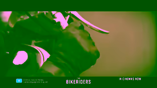 Universal Pictures The Bikeriders July 4 Ad Commercial Brand Imagery Photoshoot 0