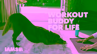 IAMS IAMS Equity Workout Buddy 06 Ad Commercial Brand Imagery Photoshoot 1
