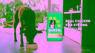 IAMS IAMS Equity Workout Buddy 06 Ad Commercial Brand Imagery Photoshoot 2