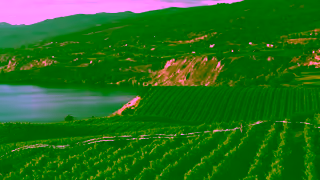 Visit British Columbia Rainforest to Rockies Ad Commercial Brand Imagery Photoshoot 1