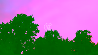 Veridian Credit Union AutoRefi15s Ad Commercial Brand Imagery Photoshoot 2