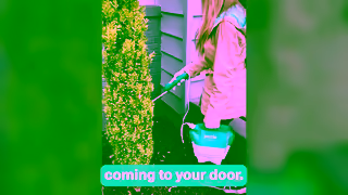 Pestie Kiss The Bugs Inside Goodbye Without Needing A Professional Service Ad Commercial Brand Imagery Photoshoot 1