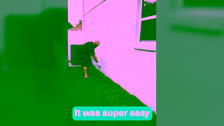 Pestie Kiss The Bugs Inside Goodbye Without Needing A Professional Service Ad Commercial Brand Imagery Photoshoot 2