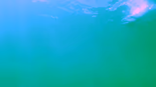 Audemars Piguet PAIDROOSummerDiscoverCampaign Film10sMversion Ad Commercial Brand Imagery Photoshoot 2