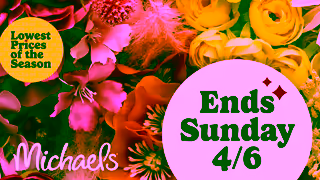 Michaels Stores Michaels Spring LPOS CAN25 06 Ad Commercial Brand Imagery Photoshoot 2