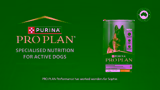 Purina Watch Sophies Story PRO PLAN Performance High Protein Dog Food Ad Commercial Brand Imagery Photoshoot 2