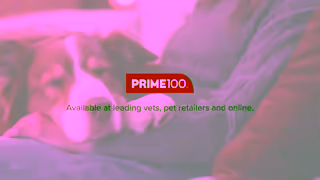 PRIME100 Prime100 Ad Commercial Brand Imagery Photoshoot 2