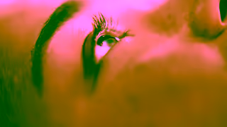 Accor ADVANTAGE ALL Ad Commercial Brand Imagery Photoshoot 1