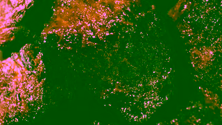 Arby's Arbys Steak Nuggets Nuggeted Steak Ad Commercial Brand Imagery Photoshoot 1