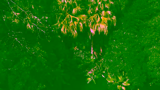 Cartier Panthre de Cartier Ad Commercial Brand Imagery Photoshoot 2