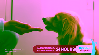 Zoetis Apoquel Chewable TV Spot Dog Thoughts Ad Commercial Brand Imagery Photoshoot 1